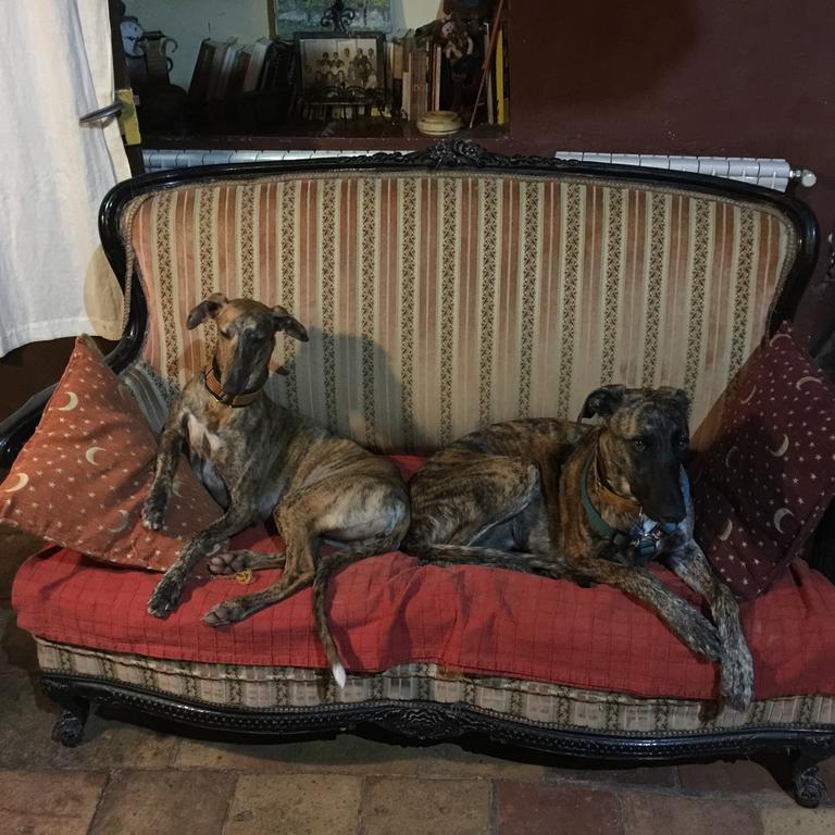 Parets de Ampurdá B&B Mas Torrencito Pet Friendly מראה חיצוני תמונה