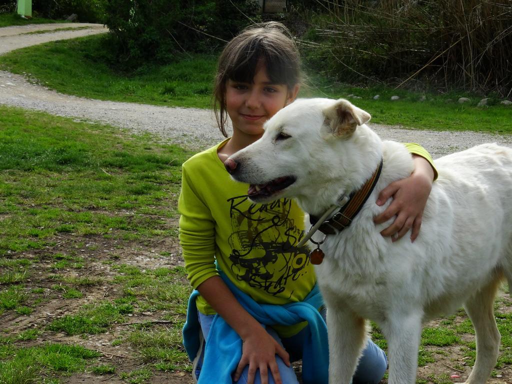 Parets de Ampurdá B&B Mas Torrencito Pet Friendly מראה חיצוני תמונה