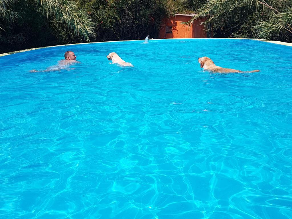 Parets de Ampurdá B&B Mas Torrencito Pet Friendly מראה חיצוני תמונה